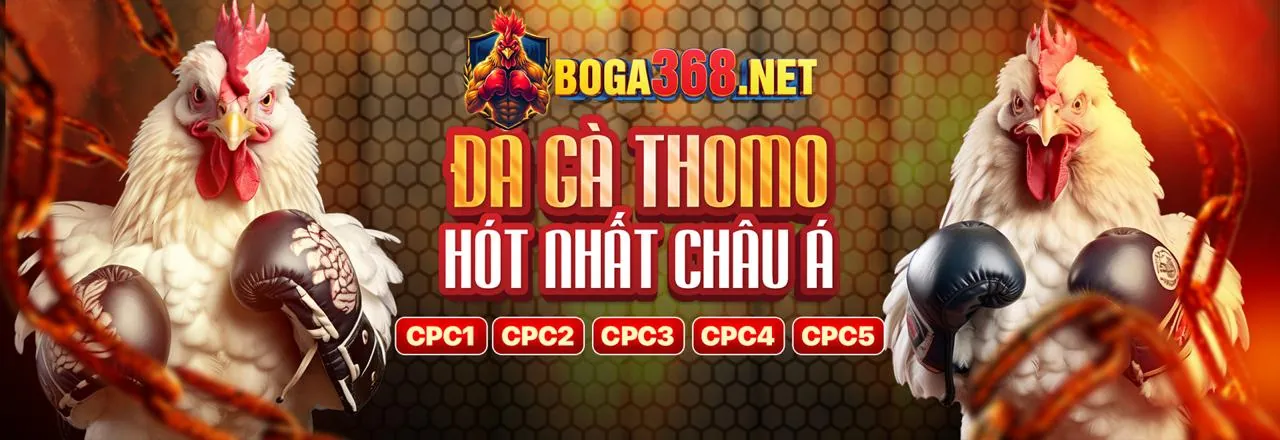 Đá Gà Trực Tuyến Đỉnh Cao tại 8KBET123
